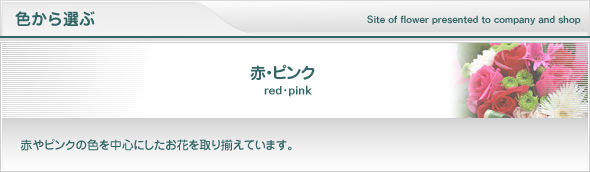 赤・ピンク系の花