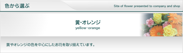 黄・オレンジ系の花