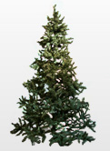 クリスマスツリー　フェイク（人工樹木） 150cm